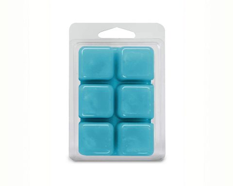 Alternative view of Cardamon/Sea Salt 6ct Wax Melts